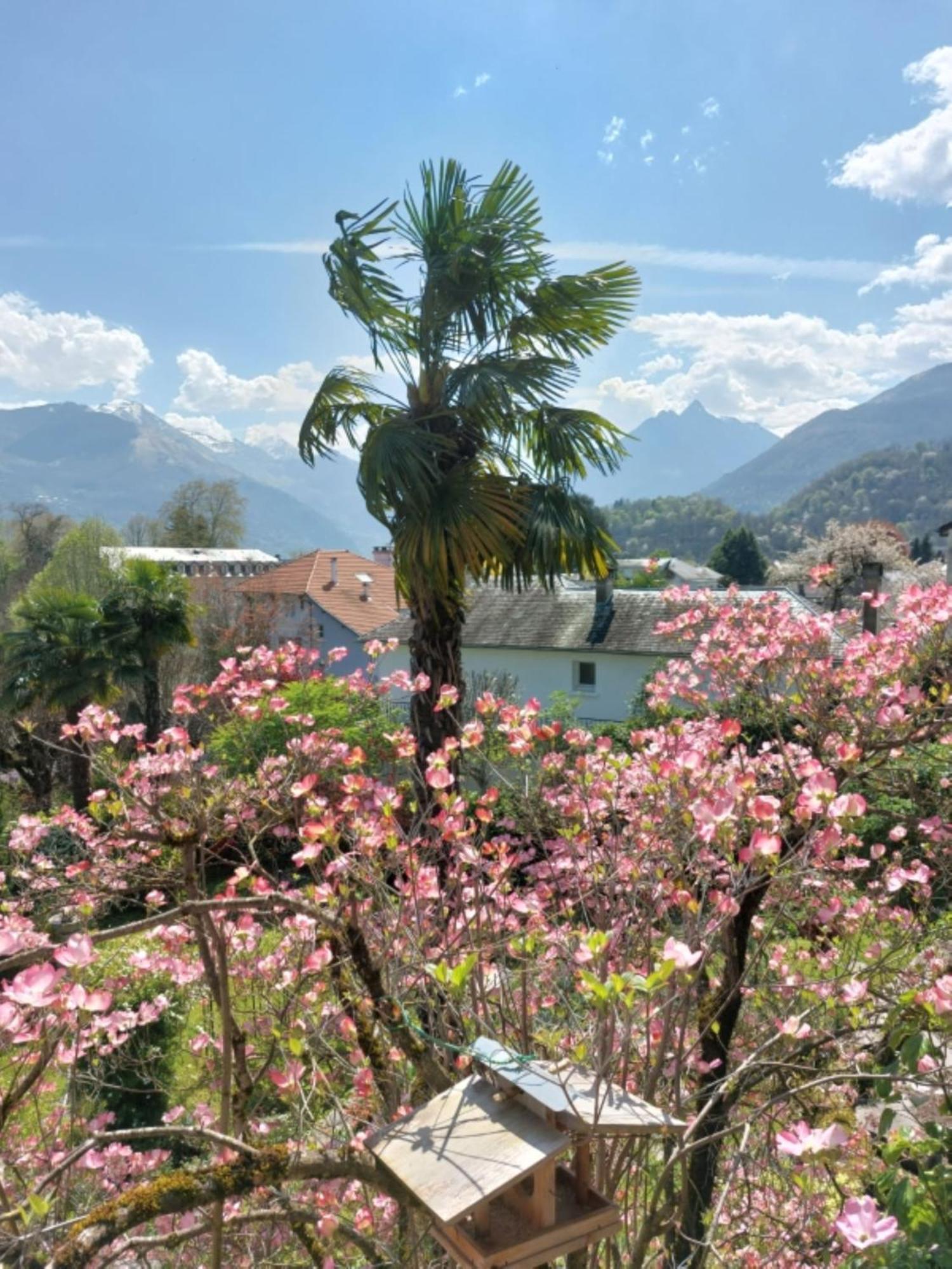 Logis Hotel Beau Site Argelès-Gazost Εξωτερικό φωτογραφία