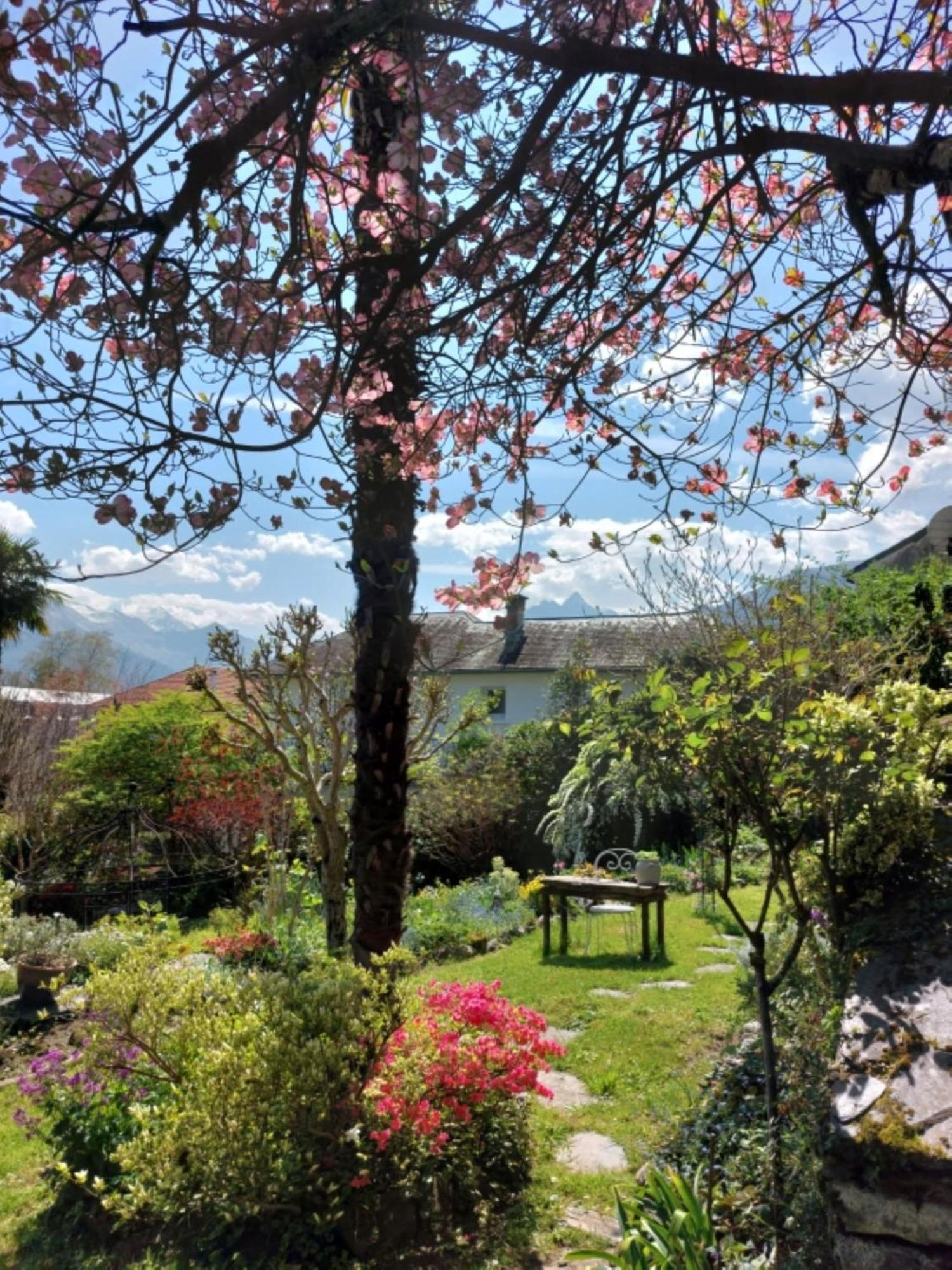 Logis Hotel Beau Site Argelès-Gazost Εξωτερικό φωτογραφία